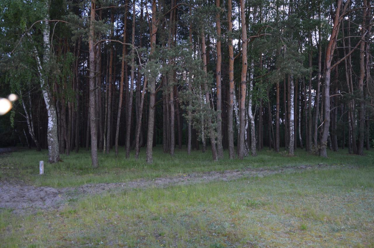 Pulemchanka Pulemets Luaran gambar